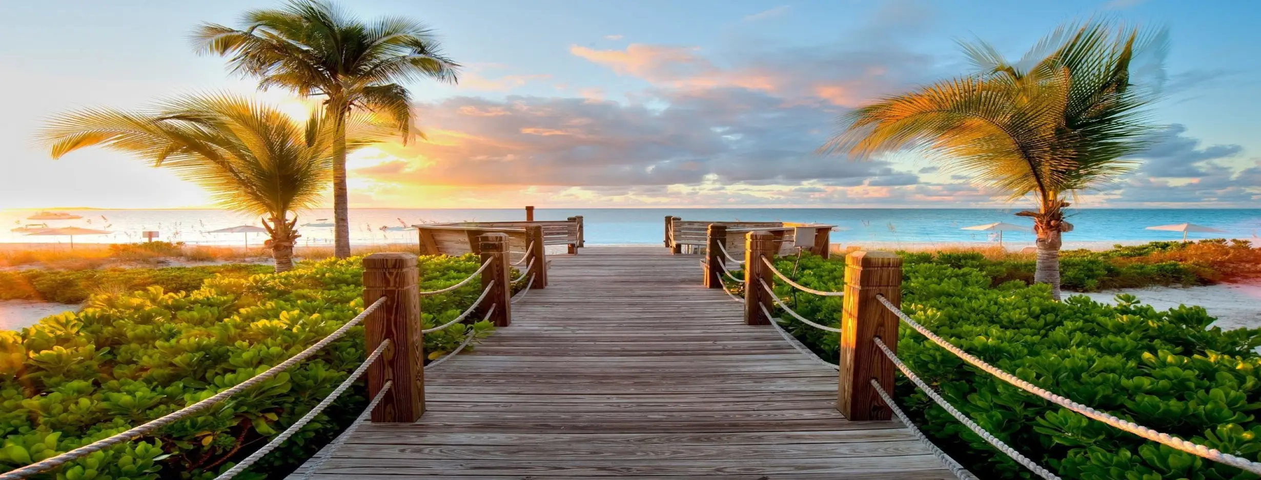 Image for Paradise Found
